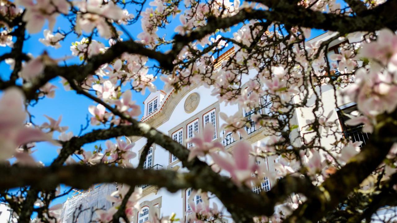 Apa M - Loft Guesthouse Jardim Das Maes Charming ヴィゼウ エクステリア 写真